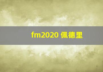 fm2020 佩德里